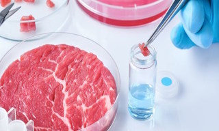 Лабораторный анализ пищевых продуктов по СанПиН в Вятских Поляне в октябре
