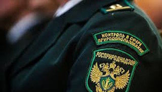 Подготовка к проверке Росприроднадзора в Вятских Поляне от ПромМир-Втс, стоимость услуги от 20300 руб.